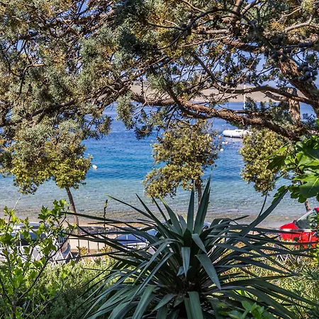 Sea Garden Apartment
